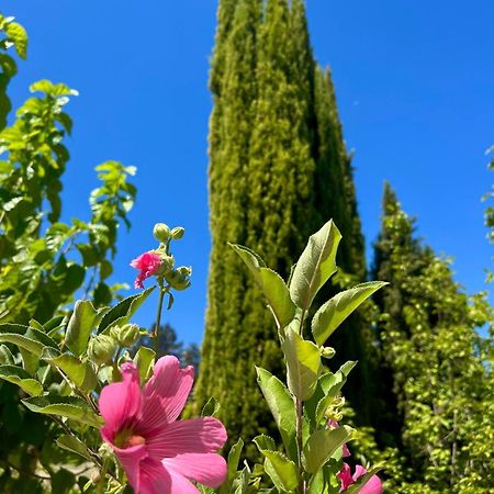 Demelida Villa In Tsada, Paphos Tsadha Eksteriør bilde