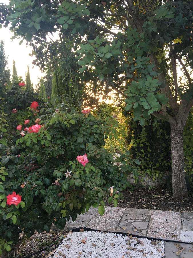 Demelida Villa In Tsada, Paphos Tsadha Eksteriør bilde