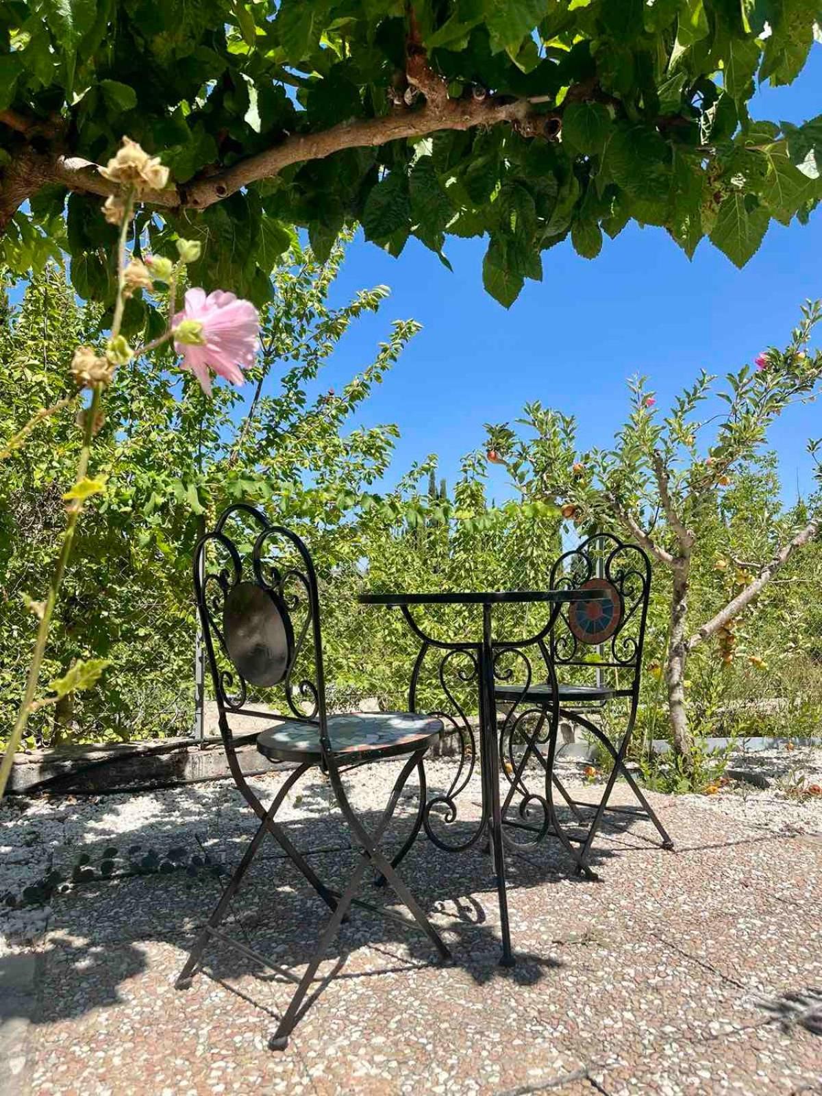 Demelida Villa In Tsada, Paphos Tsadha Eksteriør bilde